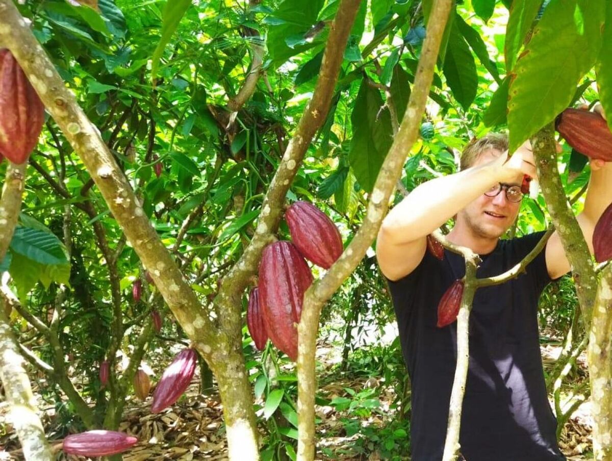 Ekasari Cocoa Farm Tour, Jembrana: Price and How to Get There