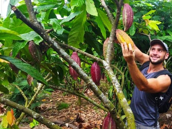 Agrowisata Kakao Ekasari Jembrana: Harga Tiket dan Cara ke Sana