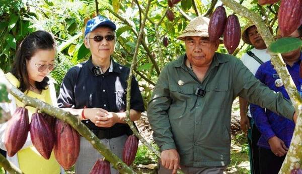 Agrowisata Kakao Ekasari Jembrana: Harga Tiket dan Cara ke Sana