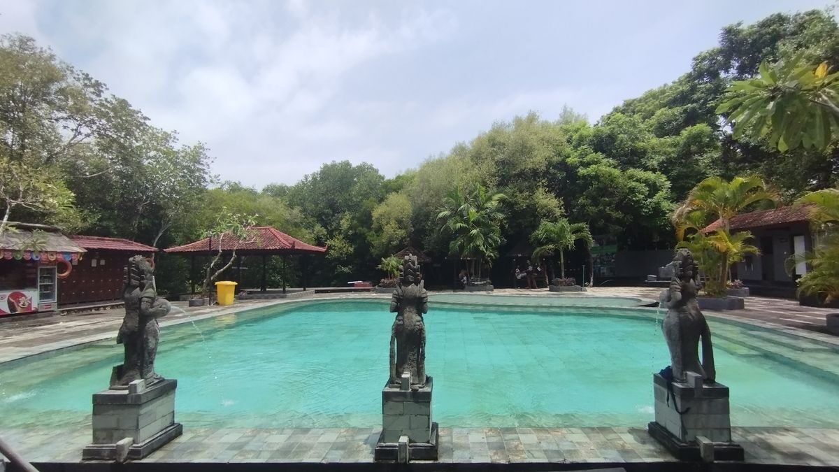 Banyuwedang Hot Spring: Bali's Salty Sulphur Soak Right by the Sea