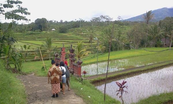 Air Panas Belulang, Tabanan: Hot Spring Sepi di Tengah Sawah