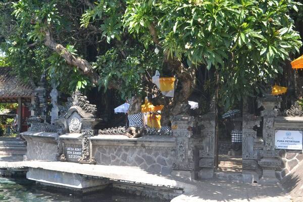 Air Sanih: Kolam Mata Air Tawar yang Bermuara Langsung ke Laut Bali