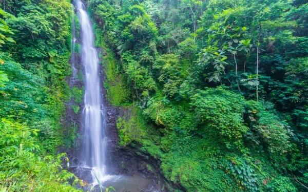 Air Terjun Blahmantung, Pupuan: Air Terjun Tinggi di Ketinggian Tabanan