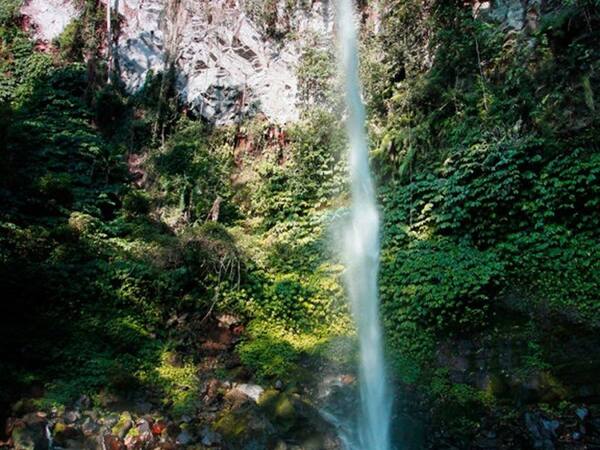 Air Terjun Blahmantung, Pupuan: Air Terjun Tinggi di Ketinggian Tabanan