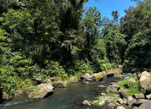 Air Terjun Bukit Buwung Tabanan: Rute Setengah Hari dari Denpasar