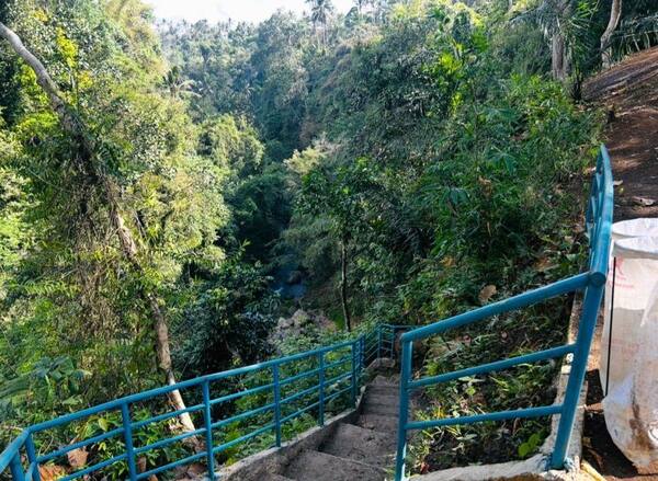 Air Terjun Bukit Buwung Tabanan: Rute Setengah Hari dari Denpasar