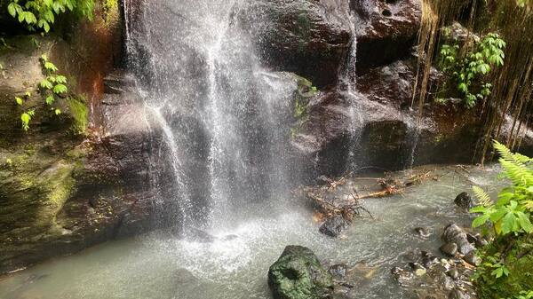 Air Terjun Dedari Bangli: Gratis, Tiga Tingkat, Jalur Berlumpur