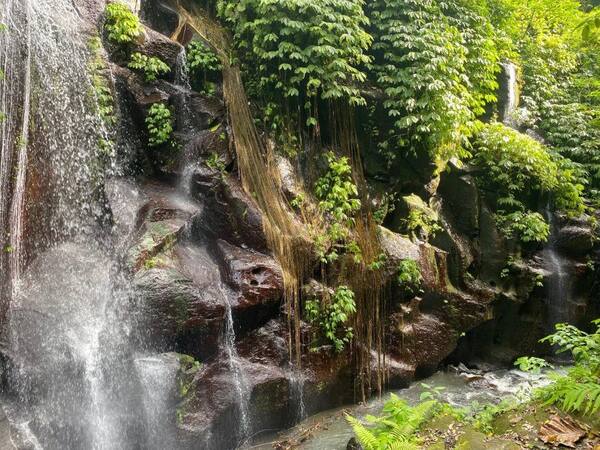 Air Terjun Dedari Bangli: Gratis, Tiga Tingkat, Jalur Berlumpur