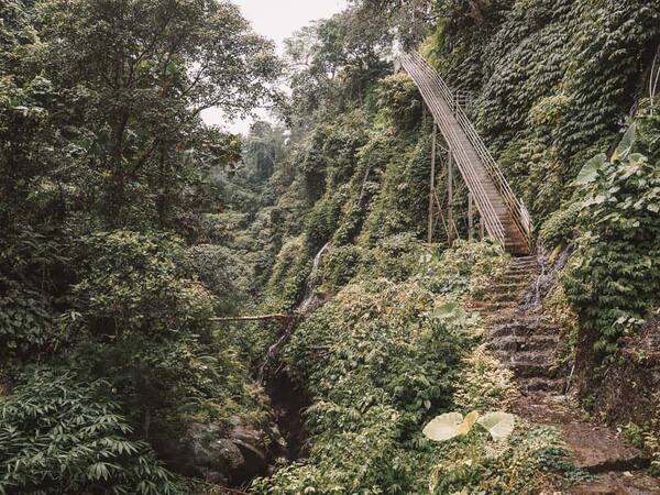 Air Terjun Dusun Kuning: Air Terjun Tersembunyi di Lembah Hijau Bangli