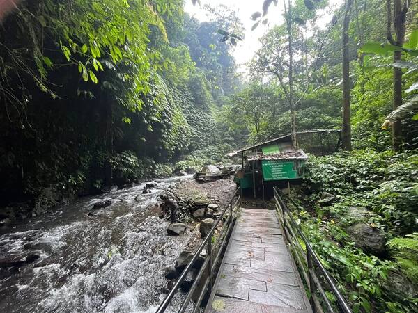 Air Terjun Fiji Lemukih: Alternatif Sepi di Sebelah Sekumpul