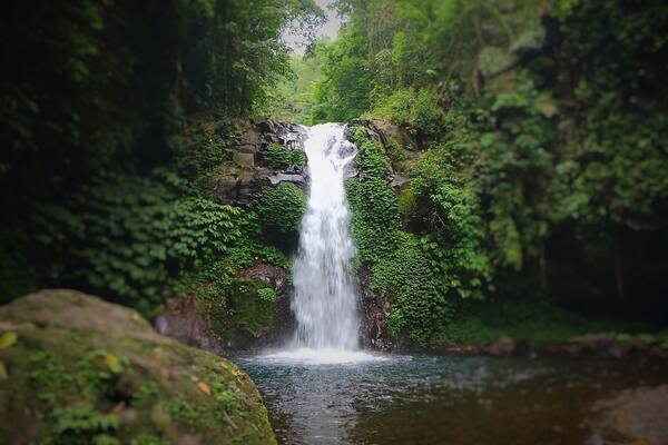 Air Terjun Gitgit, Buleleng: Pesona Air Terjun Bertingkat di Bali Utara
