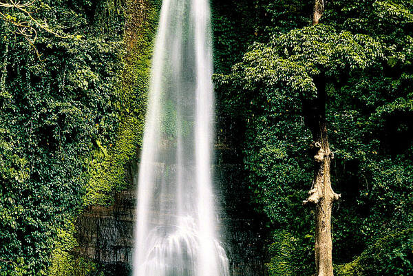 Air Terjun Gitgit, Buleleng: Pesona Air Terjun Bertingkat di Bali Utara