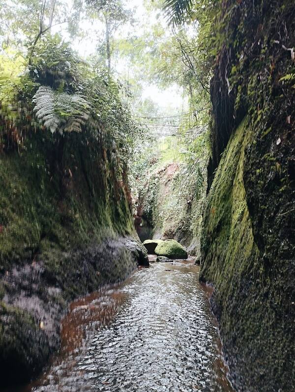 Air Terjun Grudugan Bangli: Tiket, Jalur Gua, dan Cara ke Sana