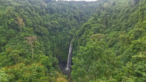 Air Terjun Kapas Tamblang: 7 Hal Sebelum Kamu Pergi