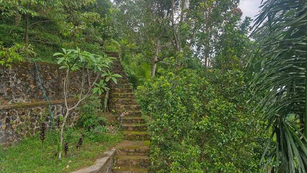 Air Terjun Kapas Tamblang: 7 Hal Sebelum Kamu Pergi