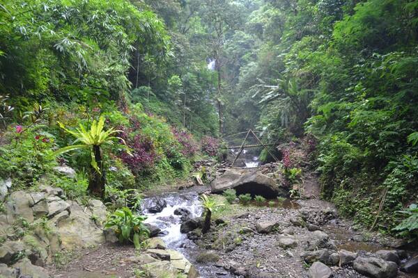 Air Terjun Labuhan Kebo, Munduk: Trek 150 Anak Tangga ke Air Terjun yang Masih Sepi