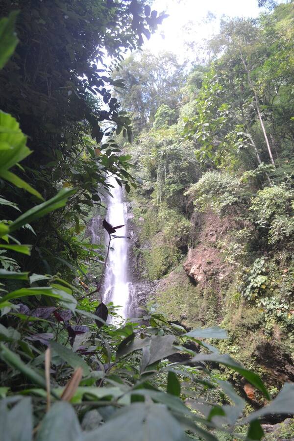 Air Terjun Labuhan Kebo, Munduk: Trek 150 Anak Tangga ke Air Terjun yang Masih Sepi