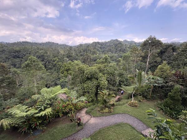 Air Terjun Leke Leke: Permata Tersembunyi di Hutan Tabanan