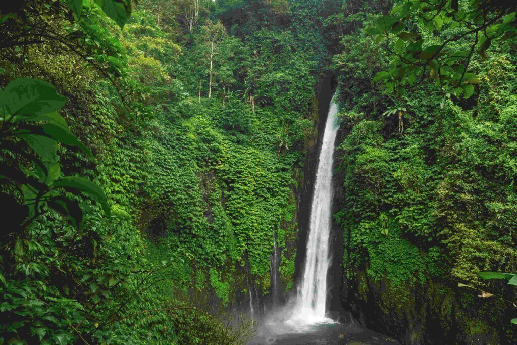 Melanting Waterfall: A Hidden Gem in Lush Munduk