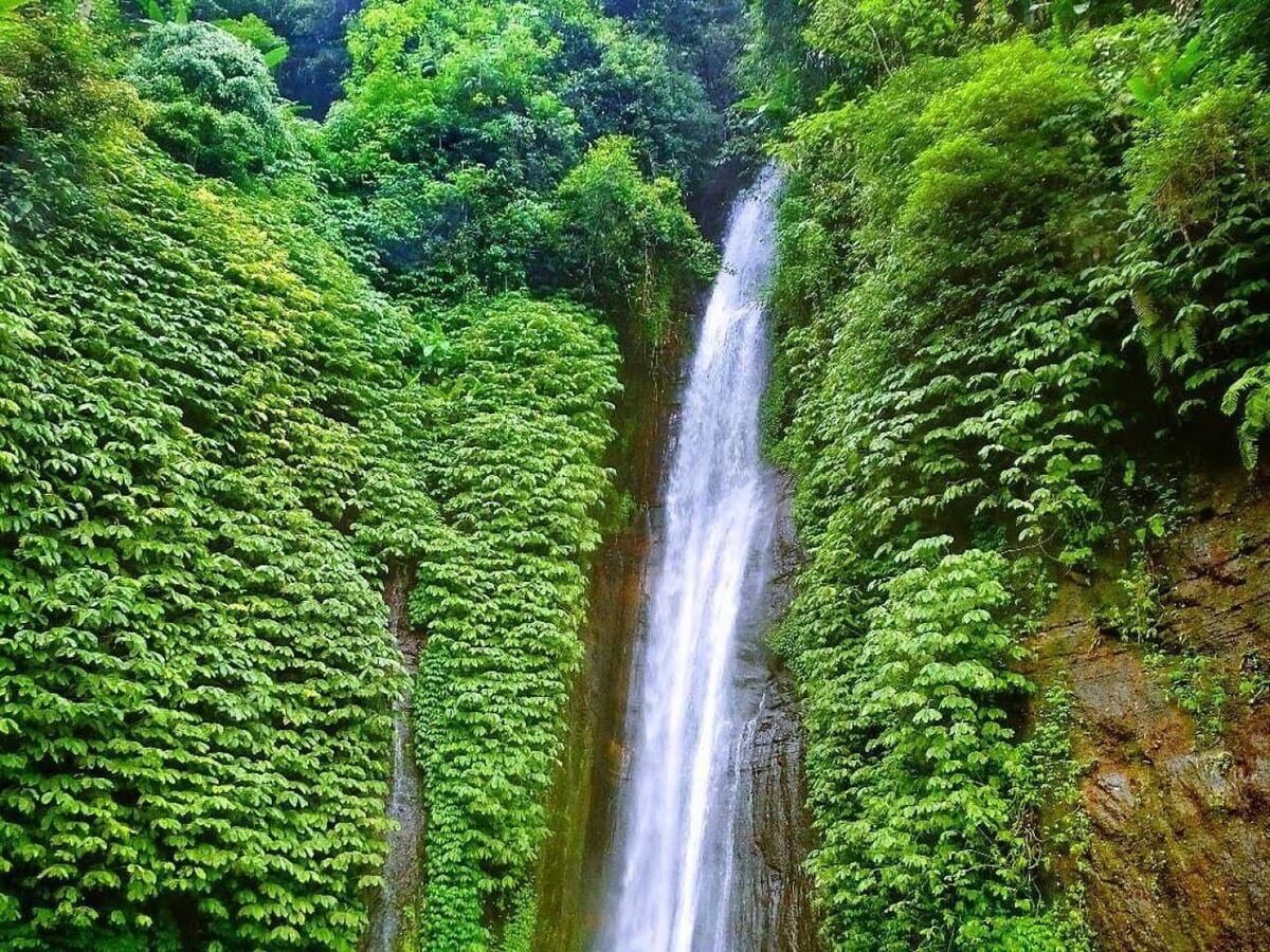 Munduk Waterfall (Red Coral): Routes from Lovina, Singaraja, Munduk