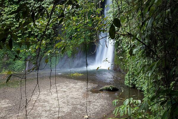 Air Terjun Munduk (Red Coral): Rute dari Lovina, Singaraja, Munduk