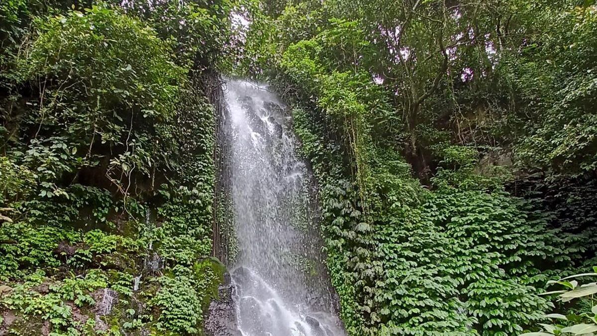 Rajapala Waterfall, Pujungan: 7 Things to Know Before You Go