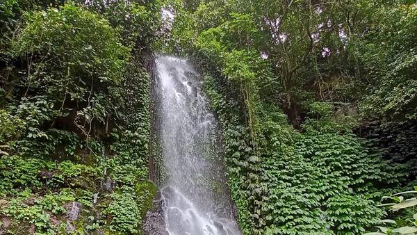Rajapala Waterfall, Pujungan: 7 Things to Know Before You Go