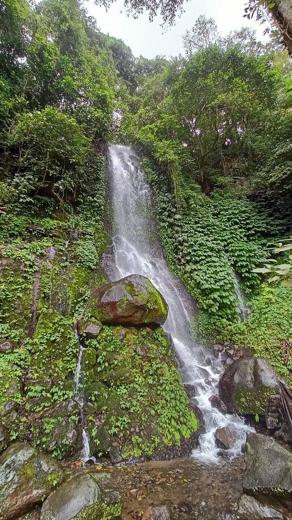 Air Terjun Rajapala Pujungan: 7 Hal Sebelum Kamu Pergi