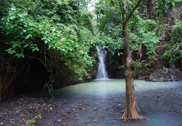 Sing Sing Waterfall: A Cool Hidden Cascade Near Lovina