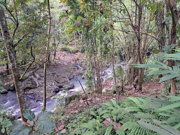 Air Terjun Sing Sing Angin Tabanan: Tiket, Rute, dan Jam Sepi