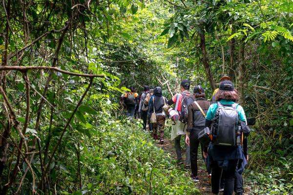 Air Terjun Terbaik di Bali 2026: 10 Air Terjun Wajib, Tiket, Akses & Cara Hemat Voucher Hotel