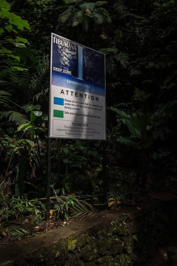 Air Terjun Tibumana: Tirai Air Tenang di Tengah Hutan Bangli