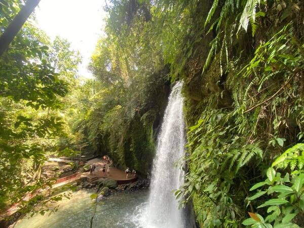 Air Terjun Ulu Petanu Tegallalang: Tiket Kini Rp30 Ribu