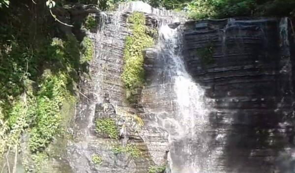 Air Terjun Yeh Buah Jembrana: Gratis, Jam Buka, Boleh Berenang?