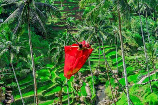 Alas Harum Bali: Ayunan Tebing & Foto Ikonik di Tegallalang Ubud