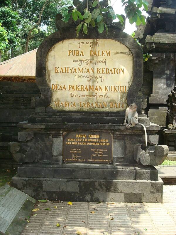 Alas Kedaton Tabanan: Hutan Monyet dan Koloni Kalong