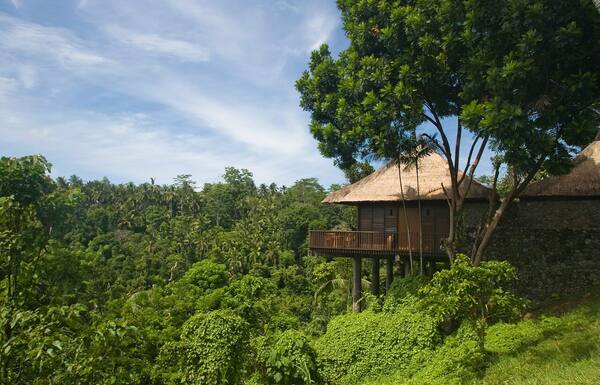 Alila Ubud, Payangan: Kolam Infinity Legendaris di Atas Lembah Ayung