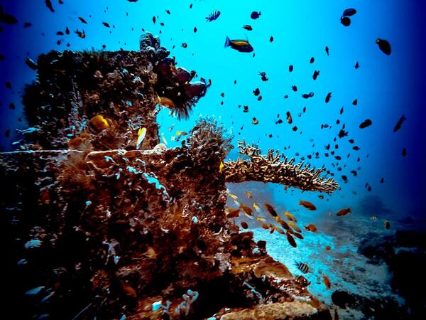 Amed Pyramids: Snorkeling Cari Penyu di Karang Congkang Amed