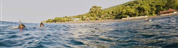 Amed Pyramids: Snorkeling Cari Penyu di Karang Congkang Amed