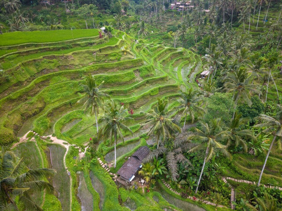 Bali Urlaubsbudget 2026: Tägliche Kosten & AccessiaPass Hotelgutscheine