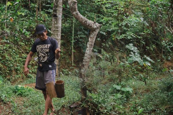 Arak Bali untuk Wisatawan 2026: Aturan Resmi, Bahaya Metanol, Batas Bawa Pulang & Cara Mencicipi dengan Aman
