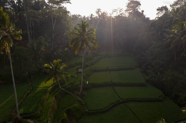 Aturan Terbang Drone di Bali 2026