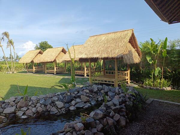 BAKUL Saba Beach, Gianyar: Babi Guling Nang Lindung Prices