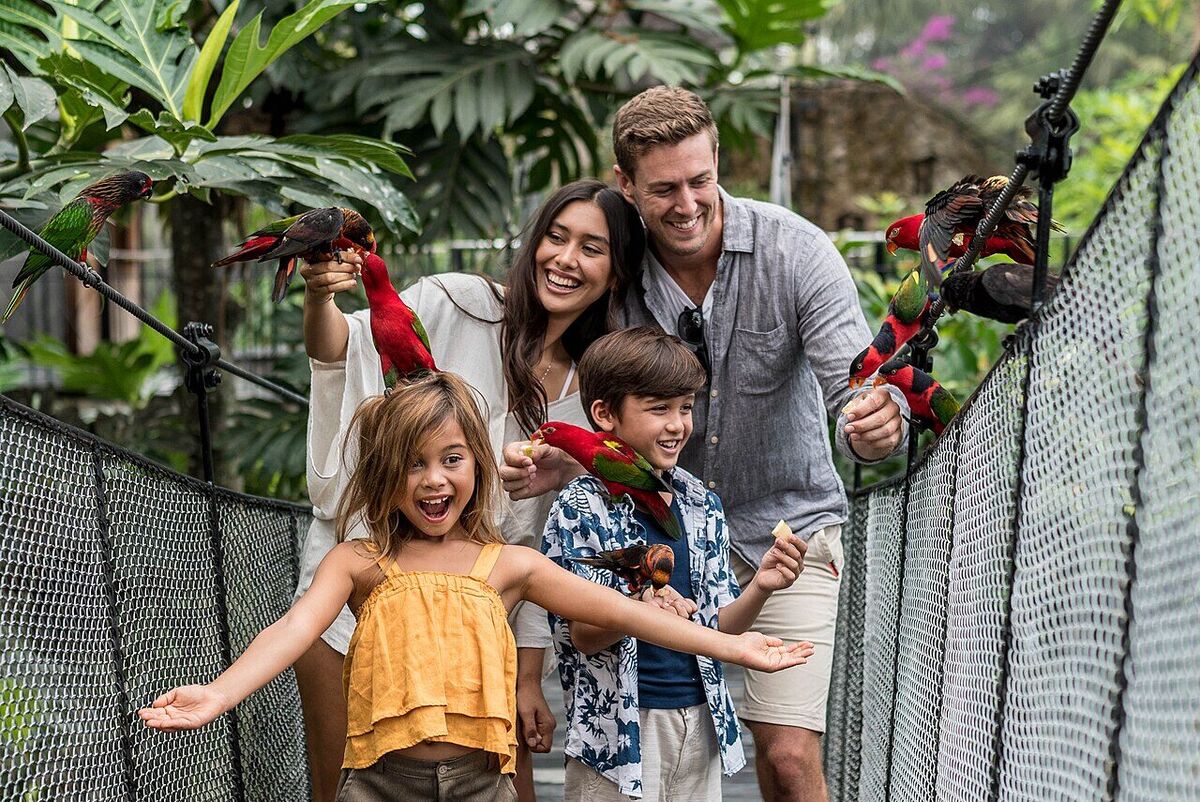 Bali Bird Park: Explore 250 Exotic Bird Species in Singapadu, Gianyar