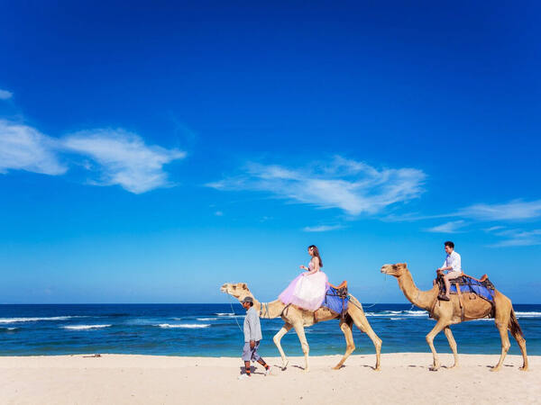 Bali Camel Safari Nusa Dua – Naik Unta di Tepi Samudra