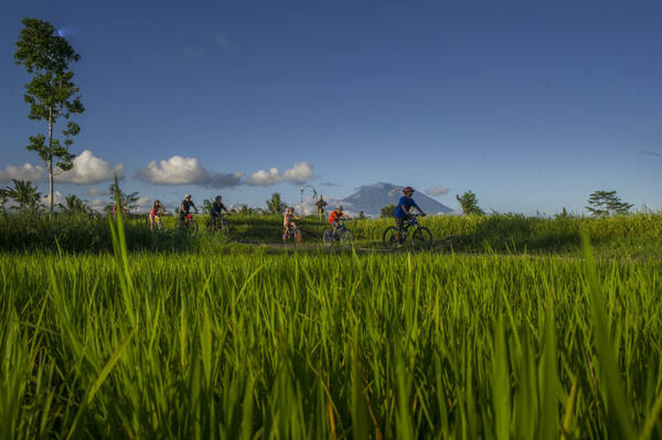Bali Eco Cycling: Turun Sepeda dari Penelokan Kintamani ke Ubud, Rute dan Harga Paketnya