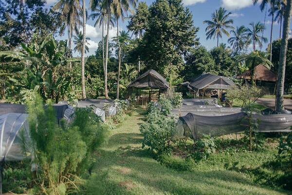 Bali Eco Stay: 8 Bungalow Terbuka dan Air Terjun Pribadi di Lereng Batukaru