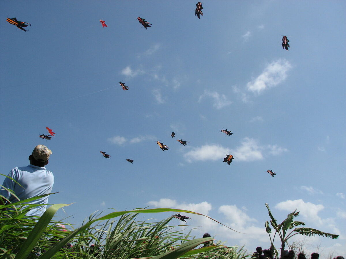 Bali Kite Festival at Padang Galak, Sanur: Bali's Sky Full of Giant Kites