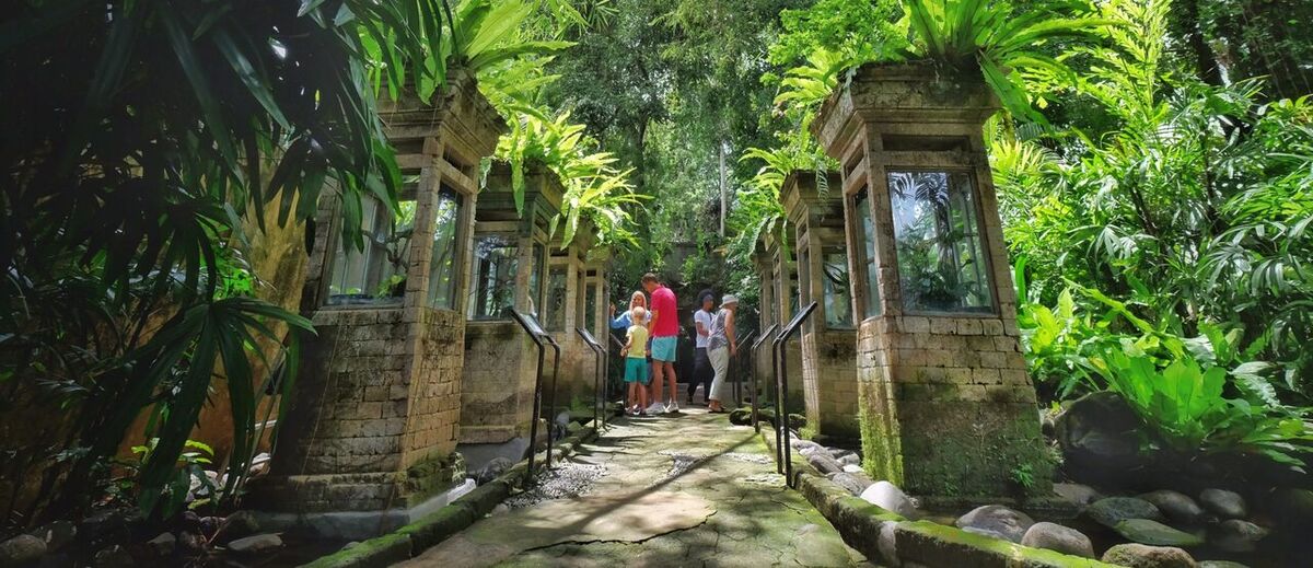 Bali Reptile Park, Singapadu: Komodo Dragons, a 6-Metre Python and a Guided Tour in Gianyar