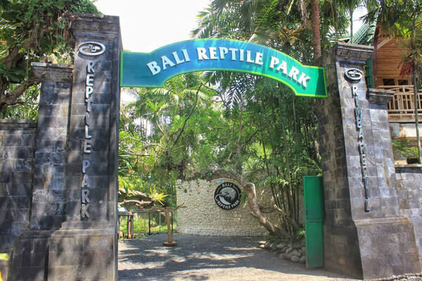 Bali Reptile Park Singapadu: Komodo, Piton 6 Meter, dan Tur Berpemandu di Gianyar